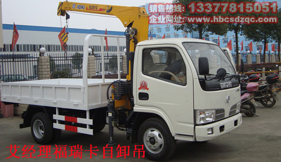 小型自卸吊图片