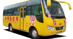 幼儿园校车、小学生校车(40座)图片